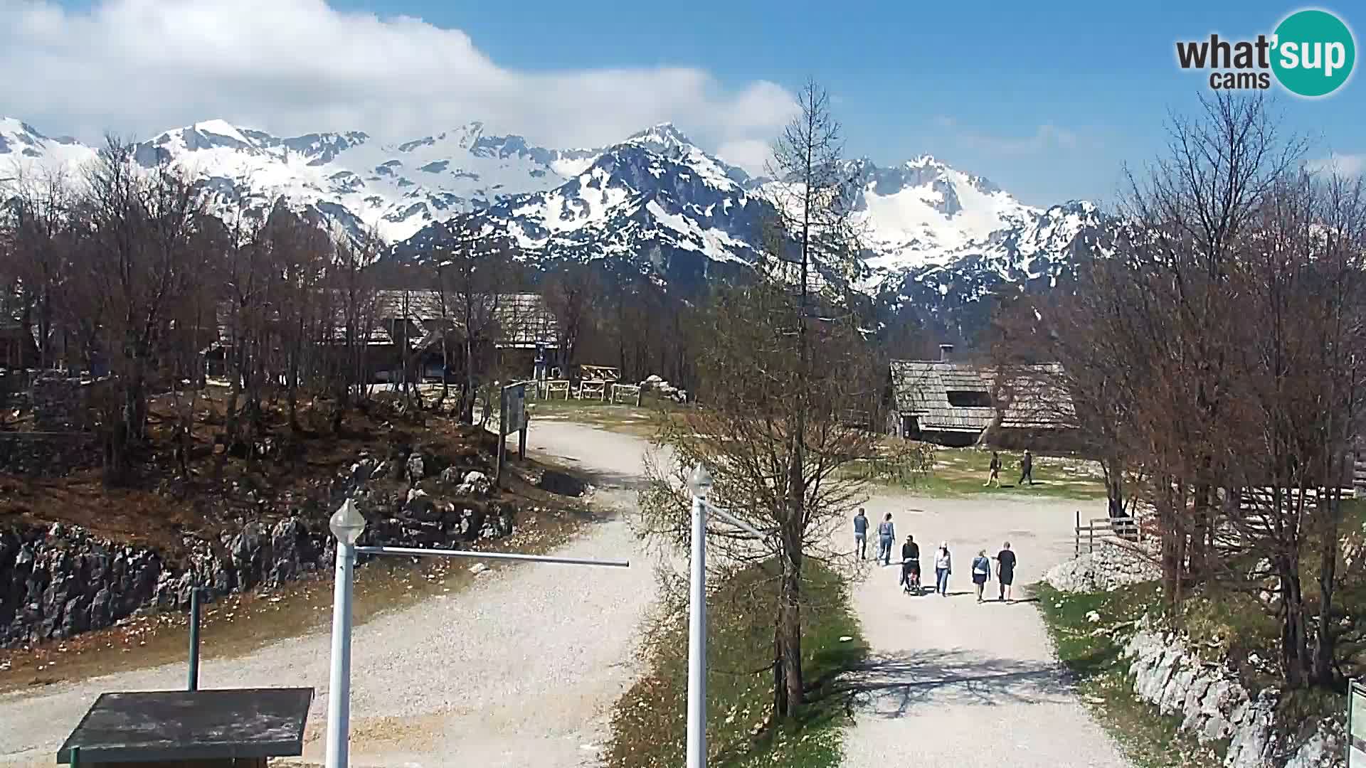Webcam Ski resort Vogel