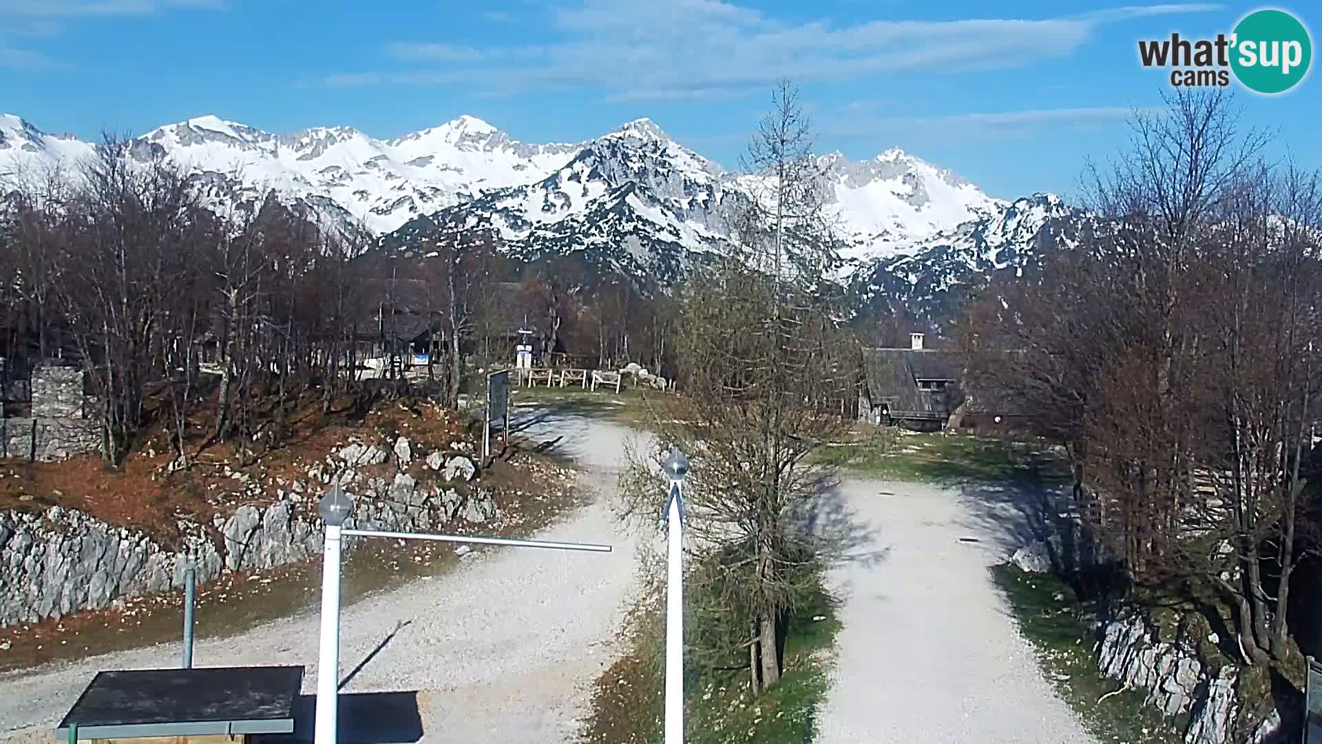 Web Kamera Skijalište Vogel