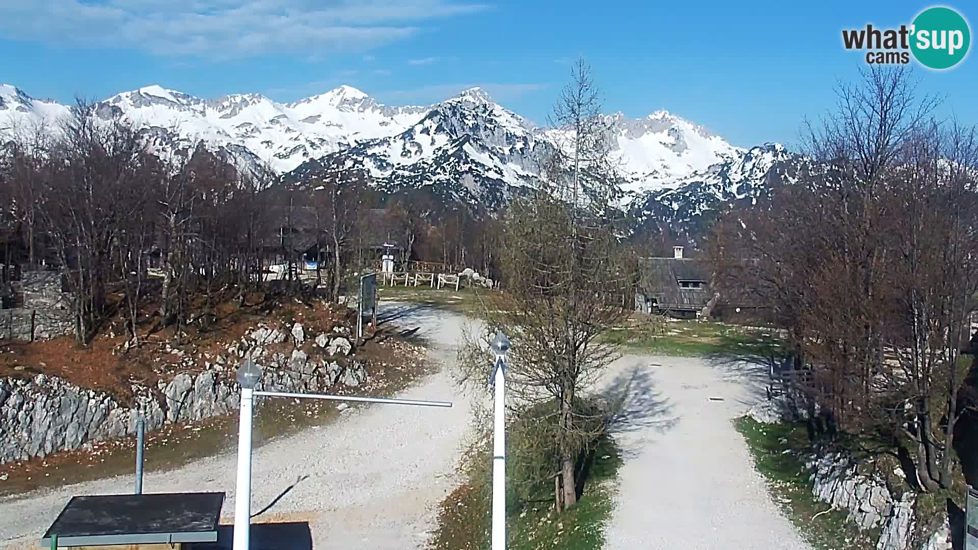 Webcam Ski resort Vogel