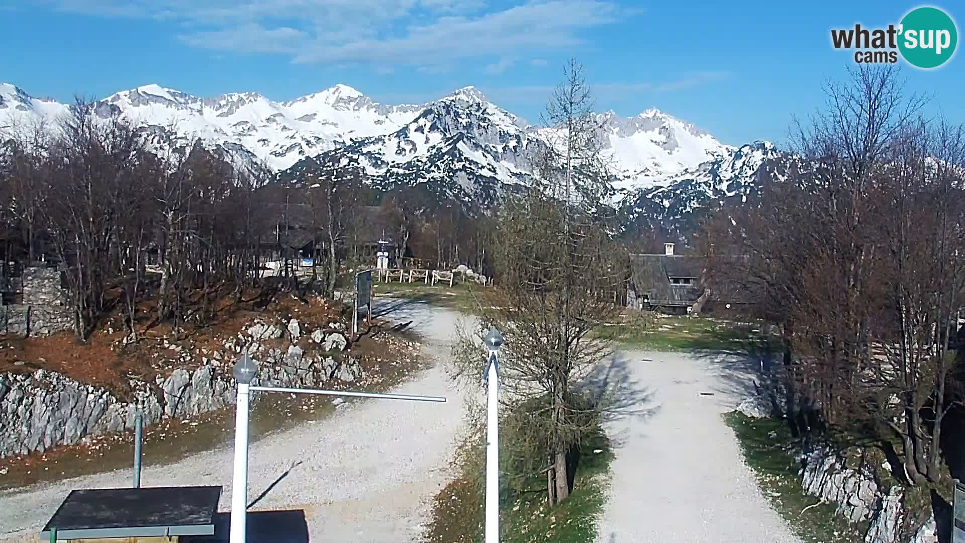 Webcam Stazione sciistica Vogel