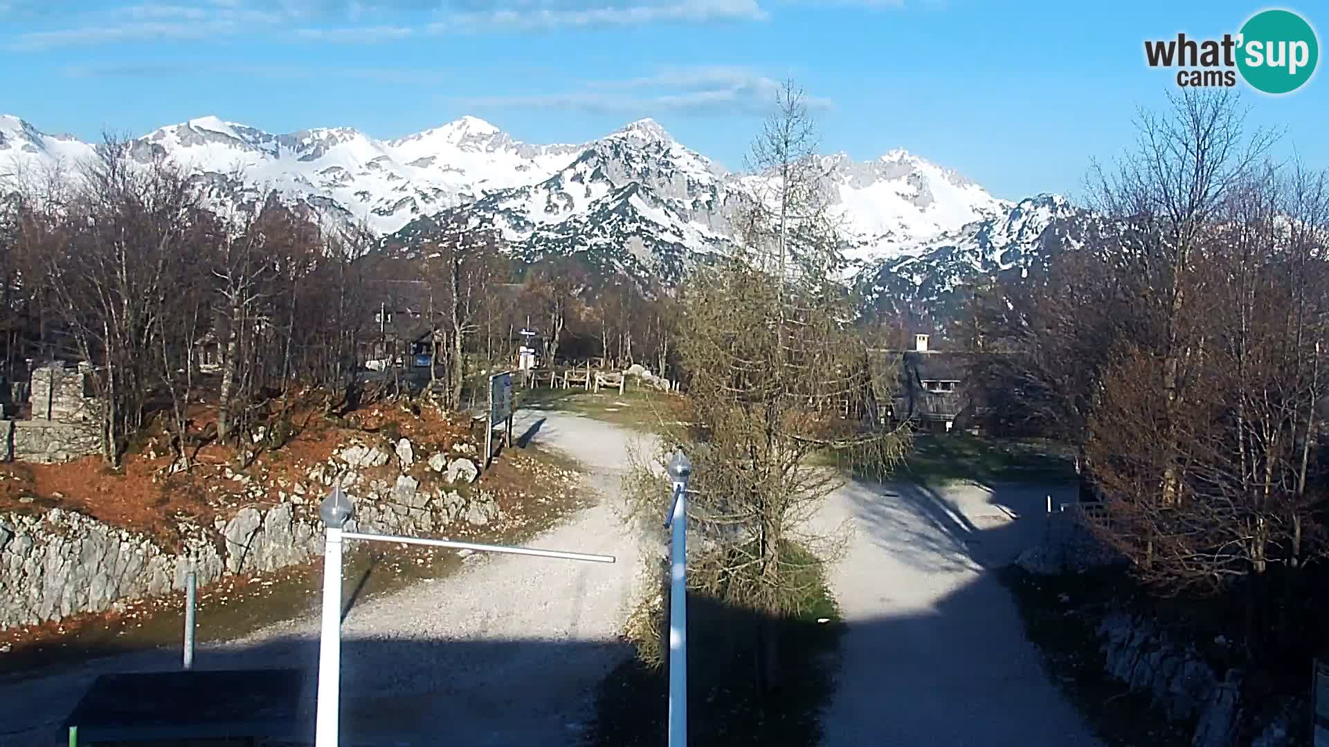 Live cam Station ski Vogel