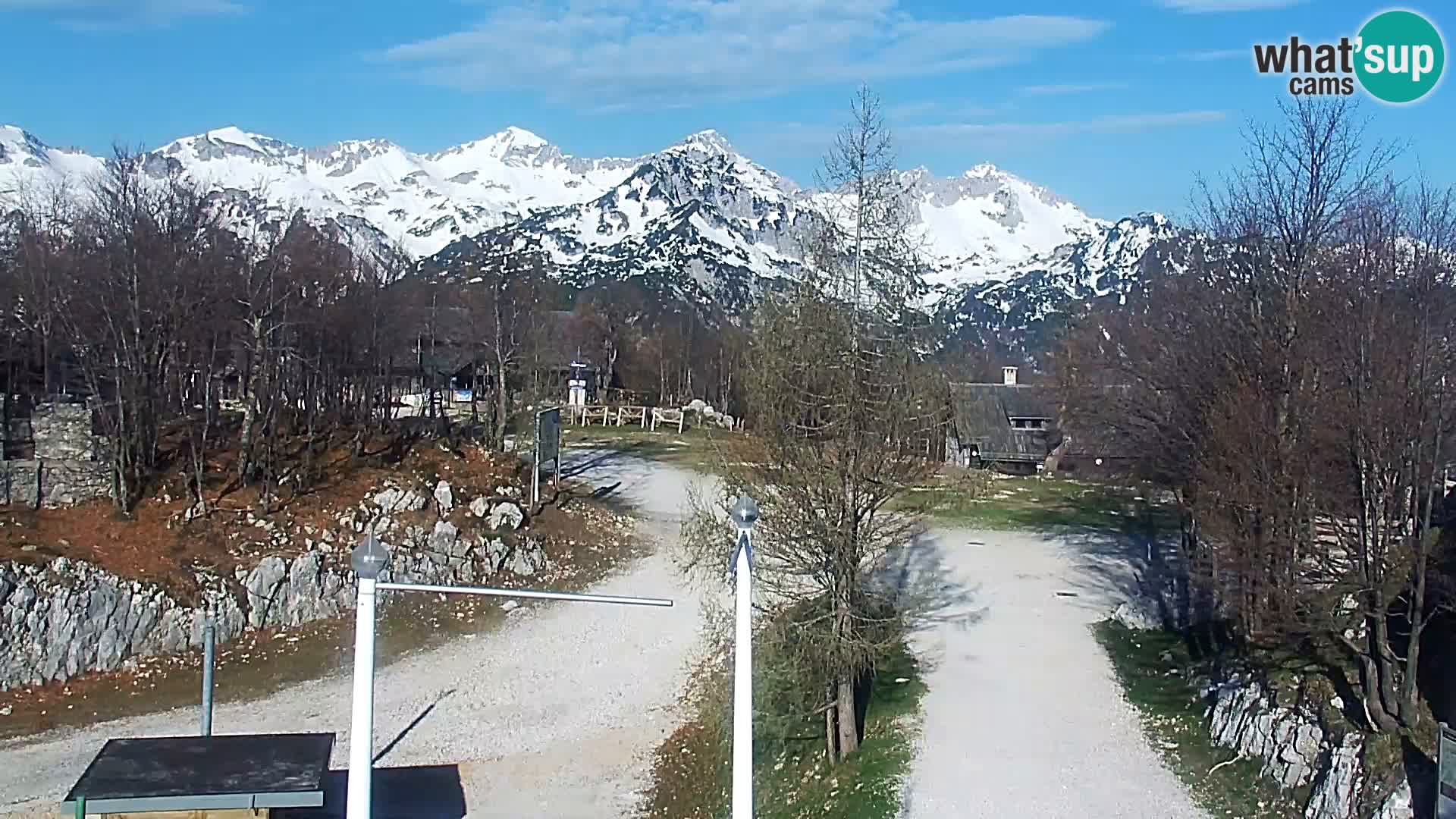 Webcam Stazione sciistica Vogel