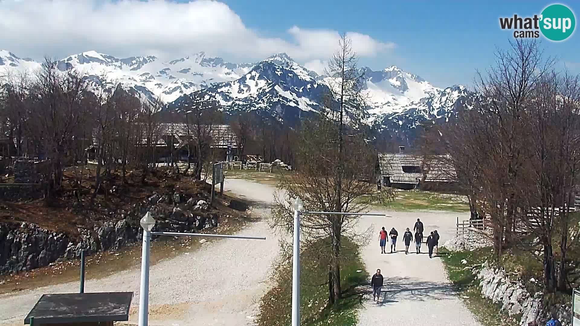 Live cam Station ski Vogel