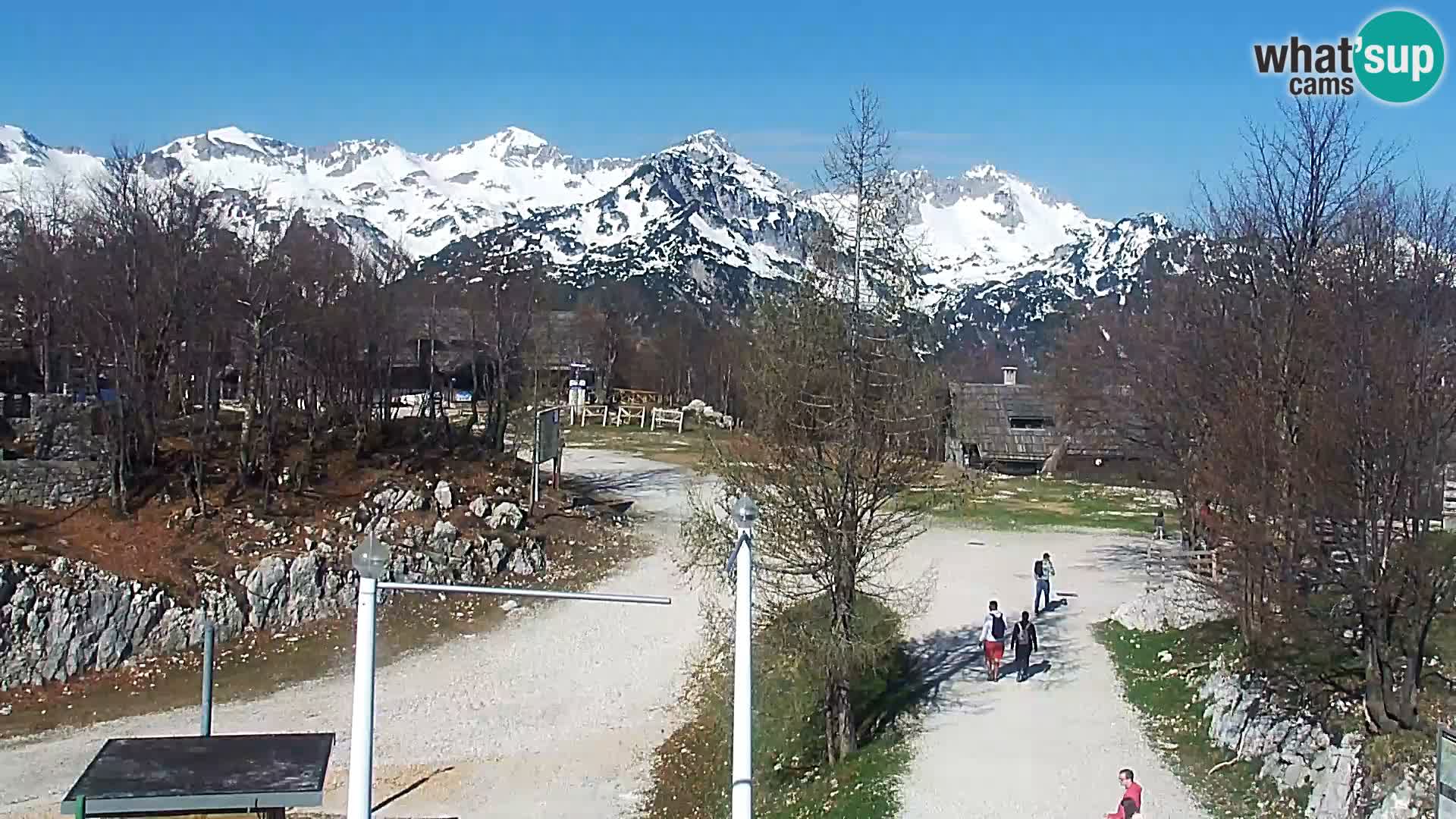 Webcam Skigebiet Vogel