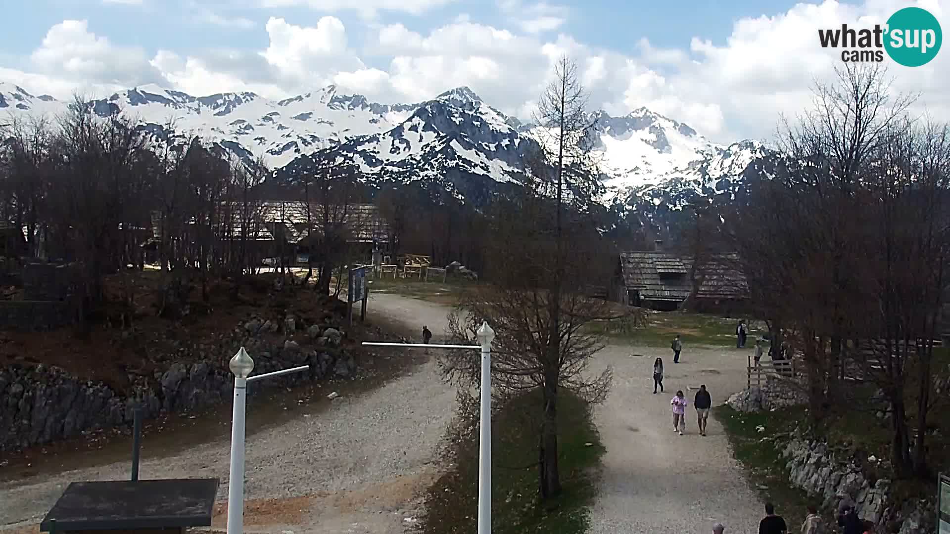 Webcam Stazione sciistica Vogel