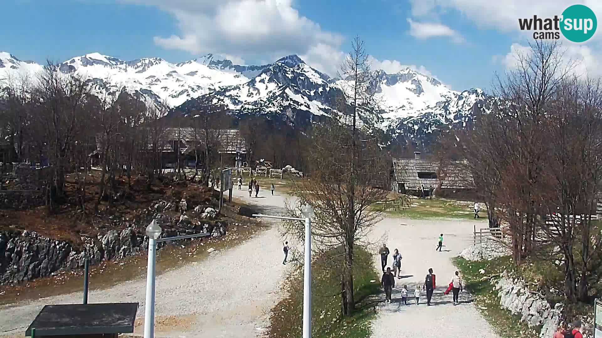 Webcam Ski resort Vogel