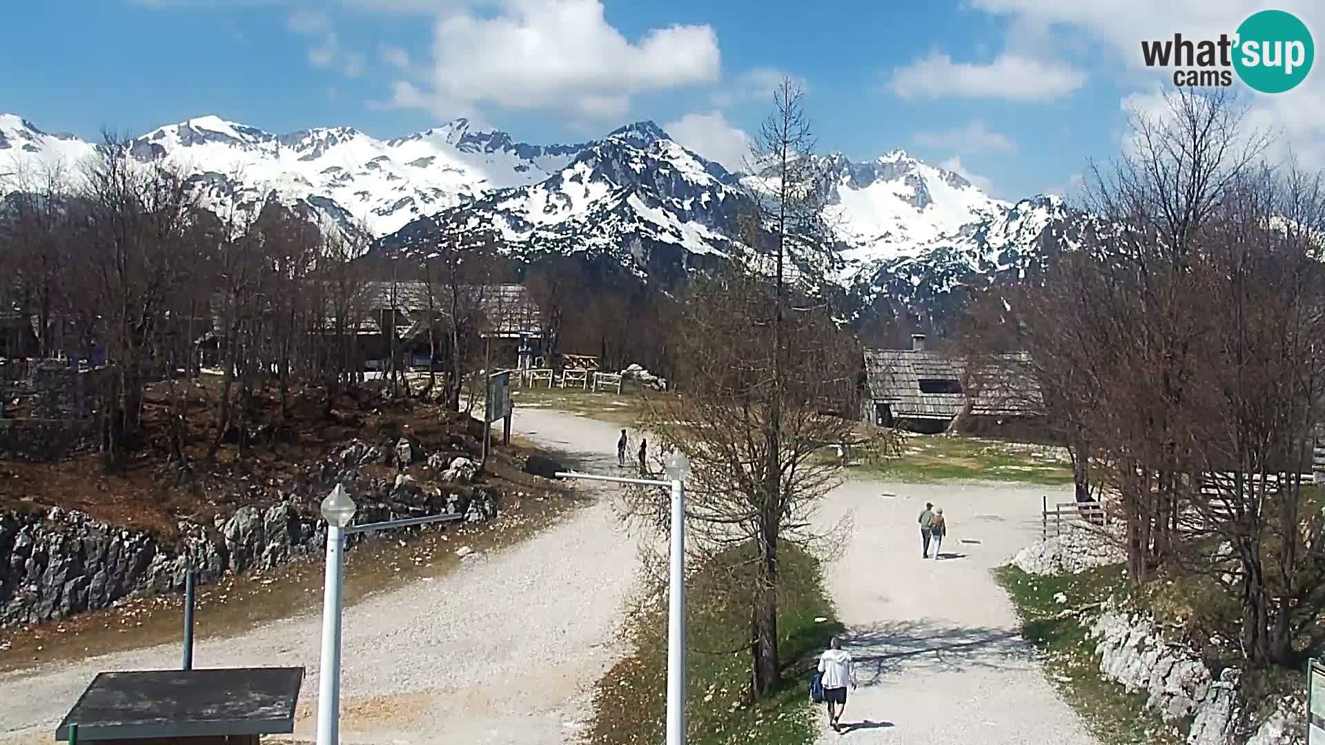 Live cam Station ski Vogel