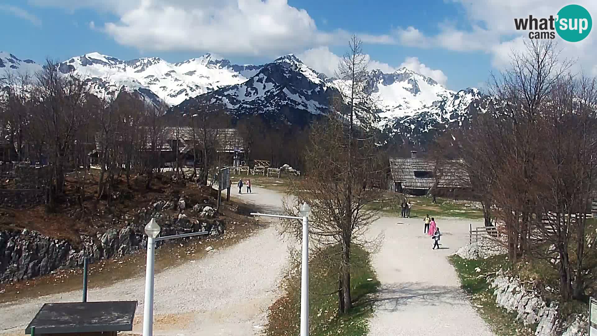 Webcam Skigebiet Vogel