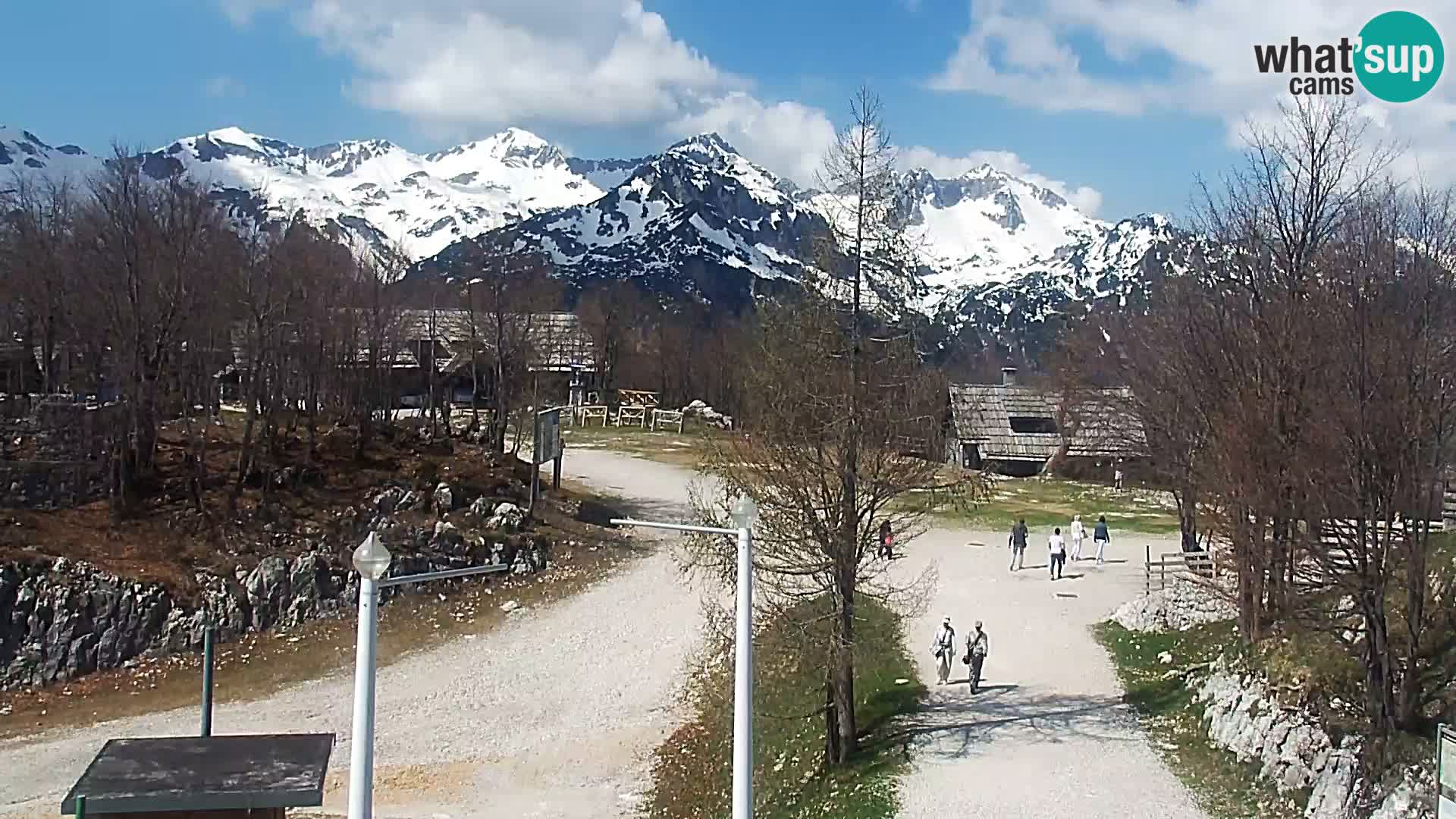 Spletna kamera Smučišče Kamera v zivo Vogel – postaja nihalke