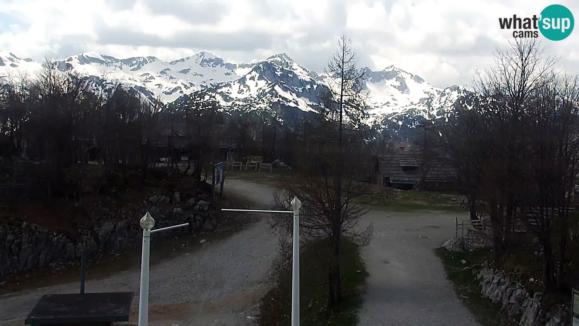 Webcam Ski resort Vogel