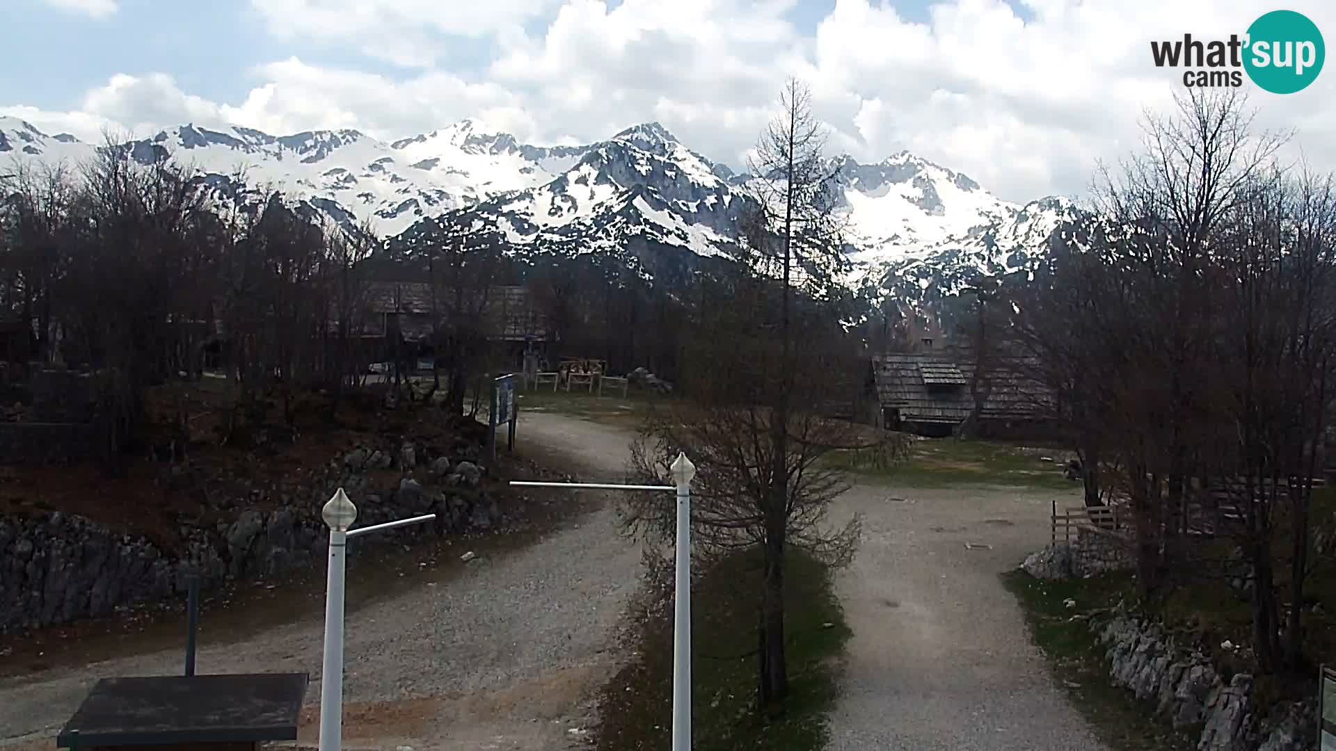 Webcam Skigebiet Vogel