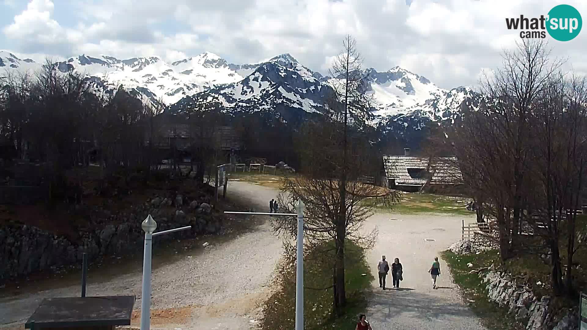 Webcam Skigebiet Vogel
