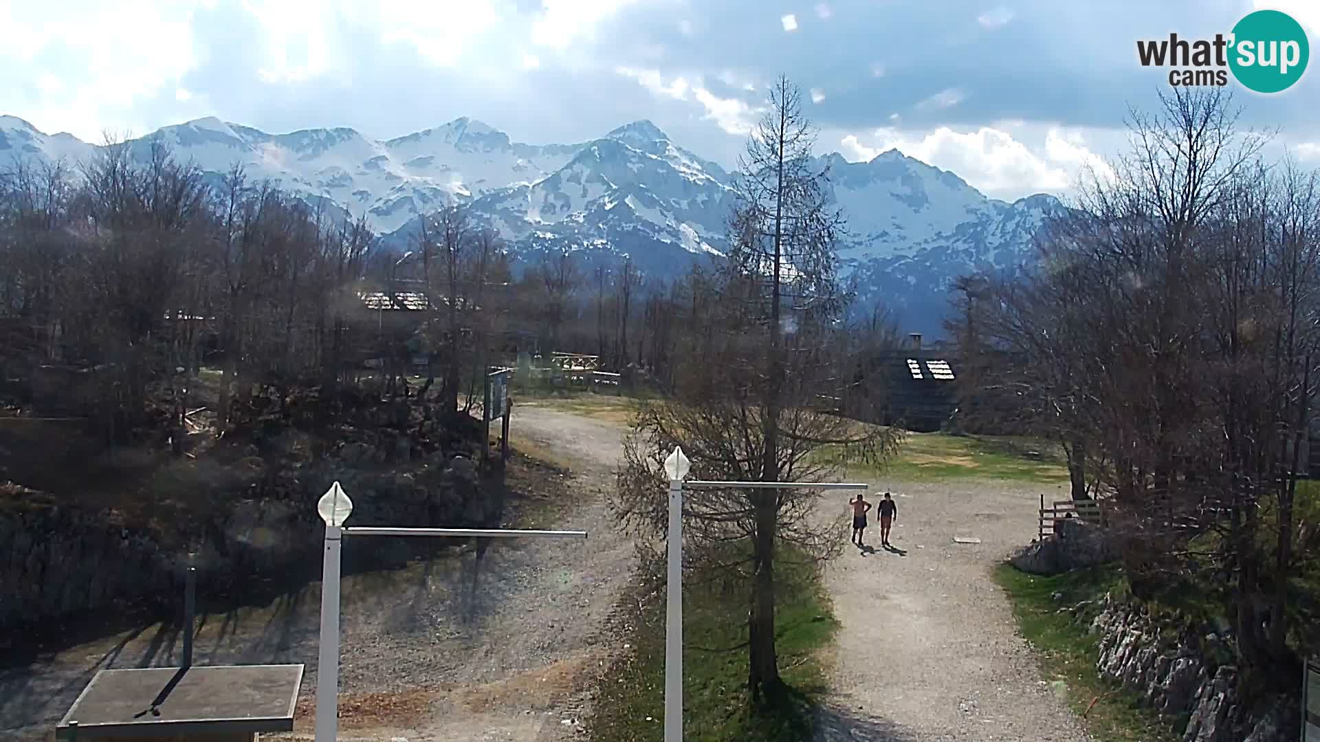 Webcam Ski resort Vogel
