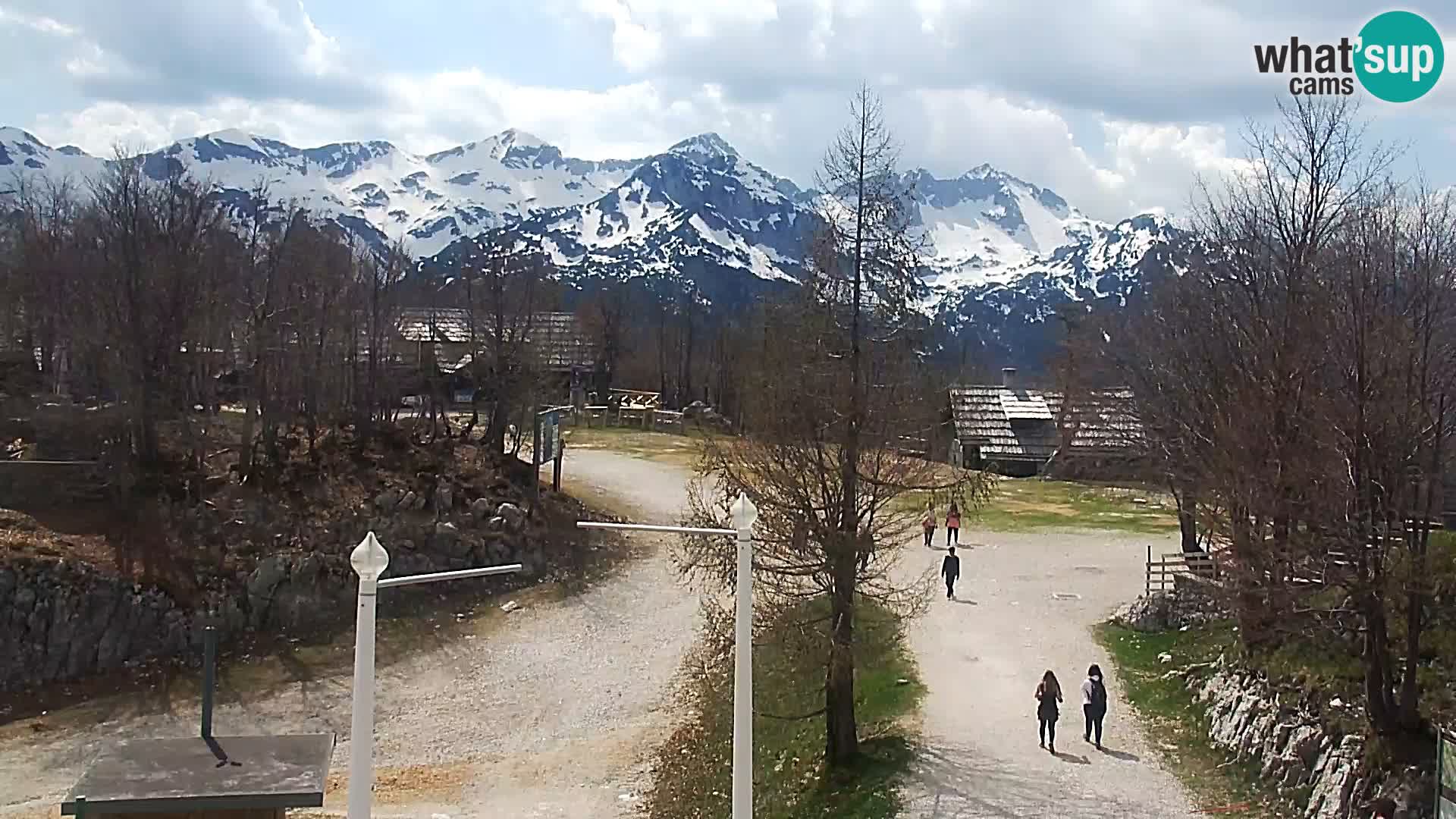Webcam Skigebiet Vogel