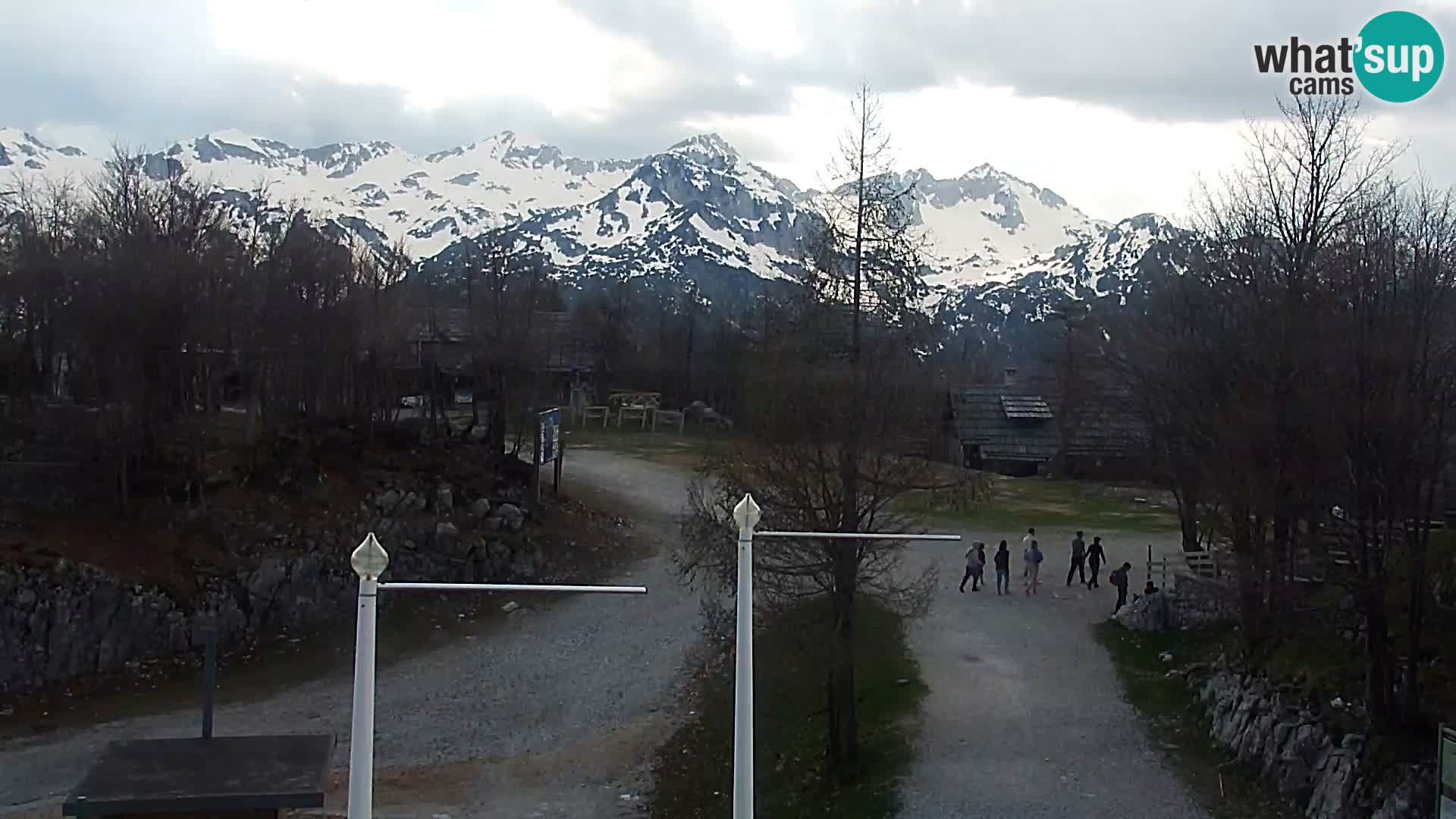 Live cam Station ski Vogel