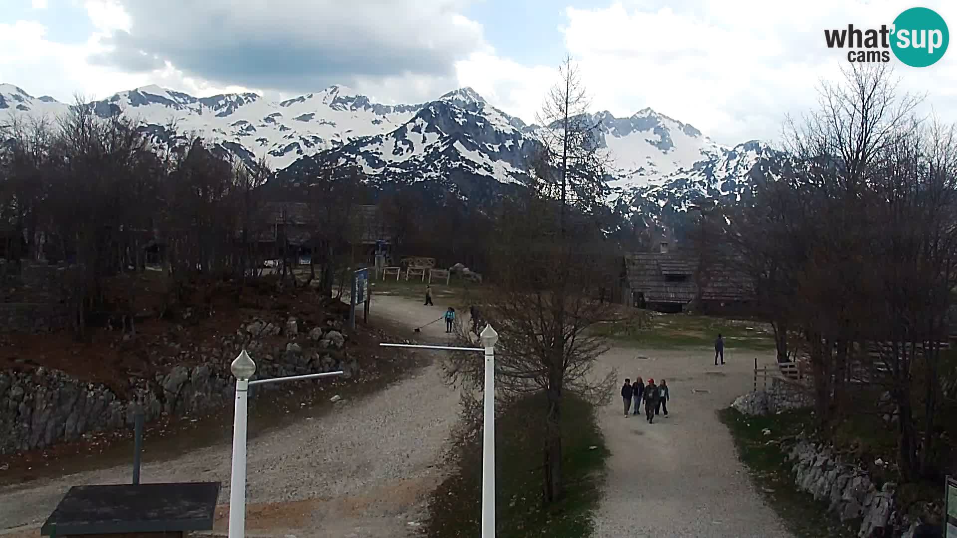 Webcam Skigebiet Vogel