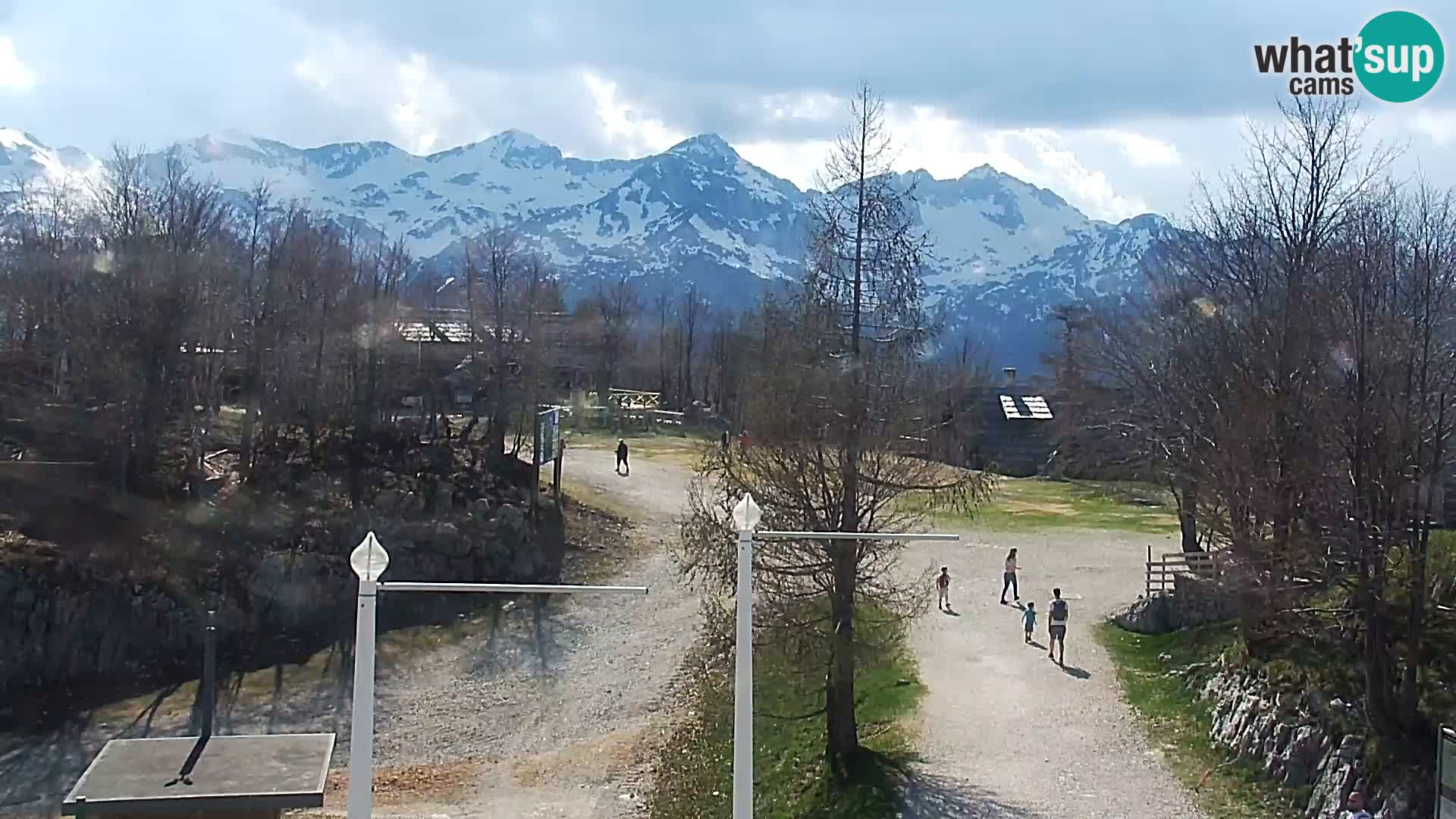 Webcam Ski resort Vogel