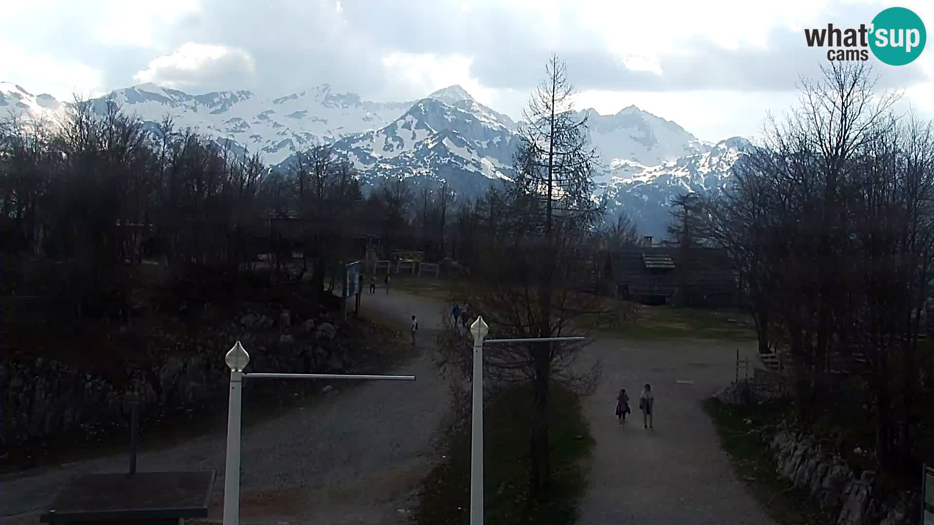 Webcam Ski resort Vogel