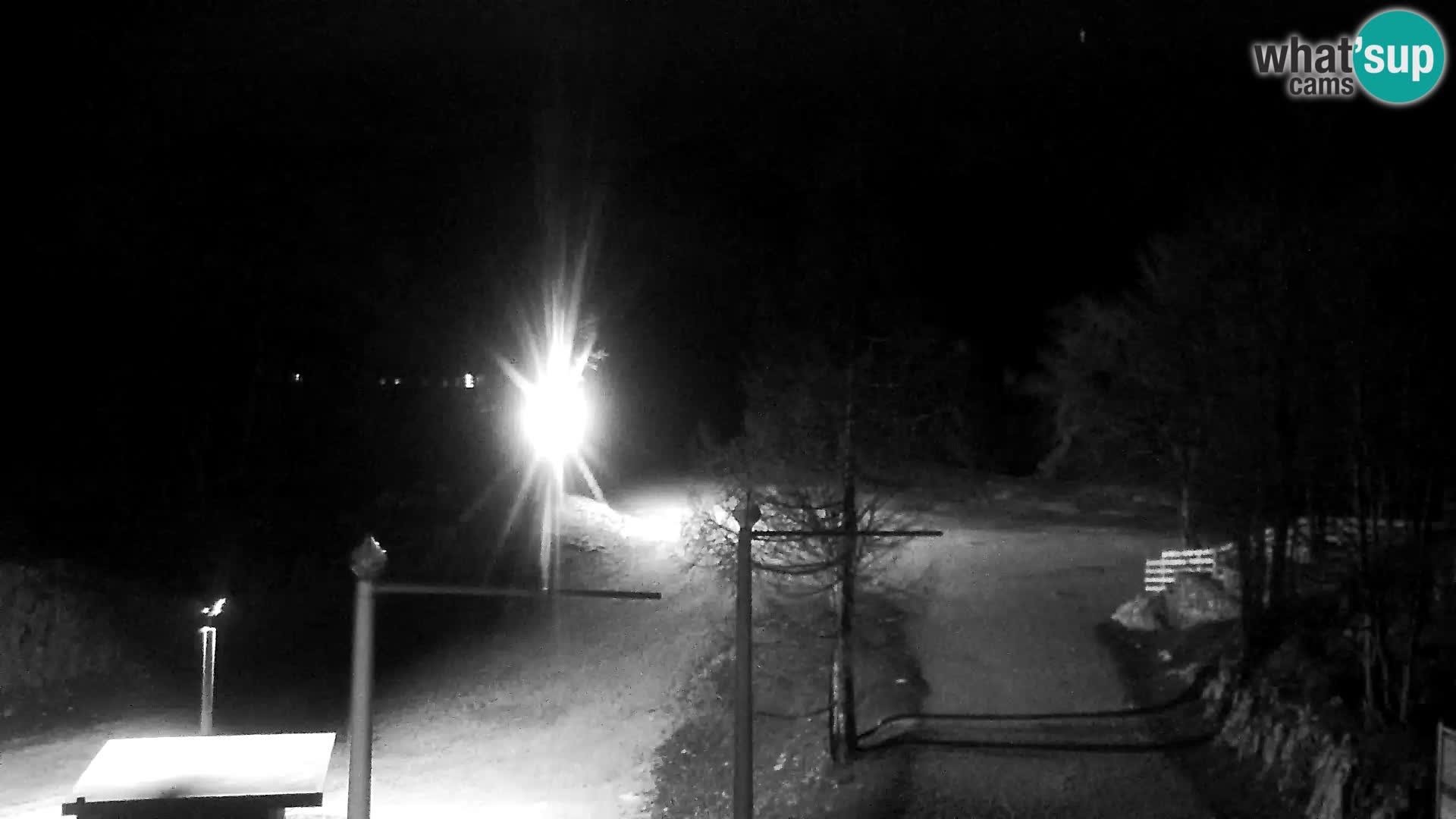 Live cam Station ski Vogel