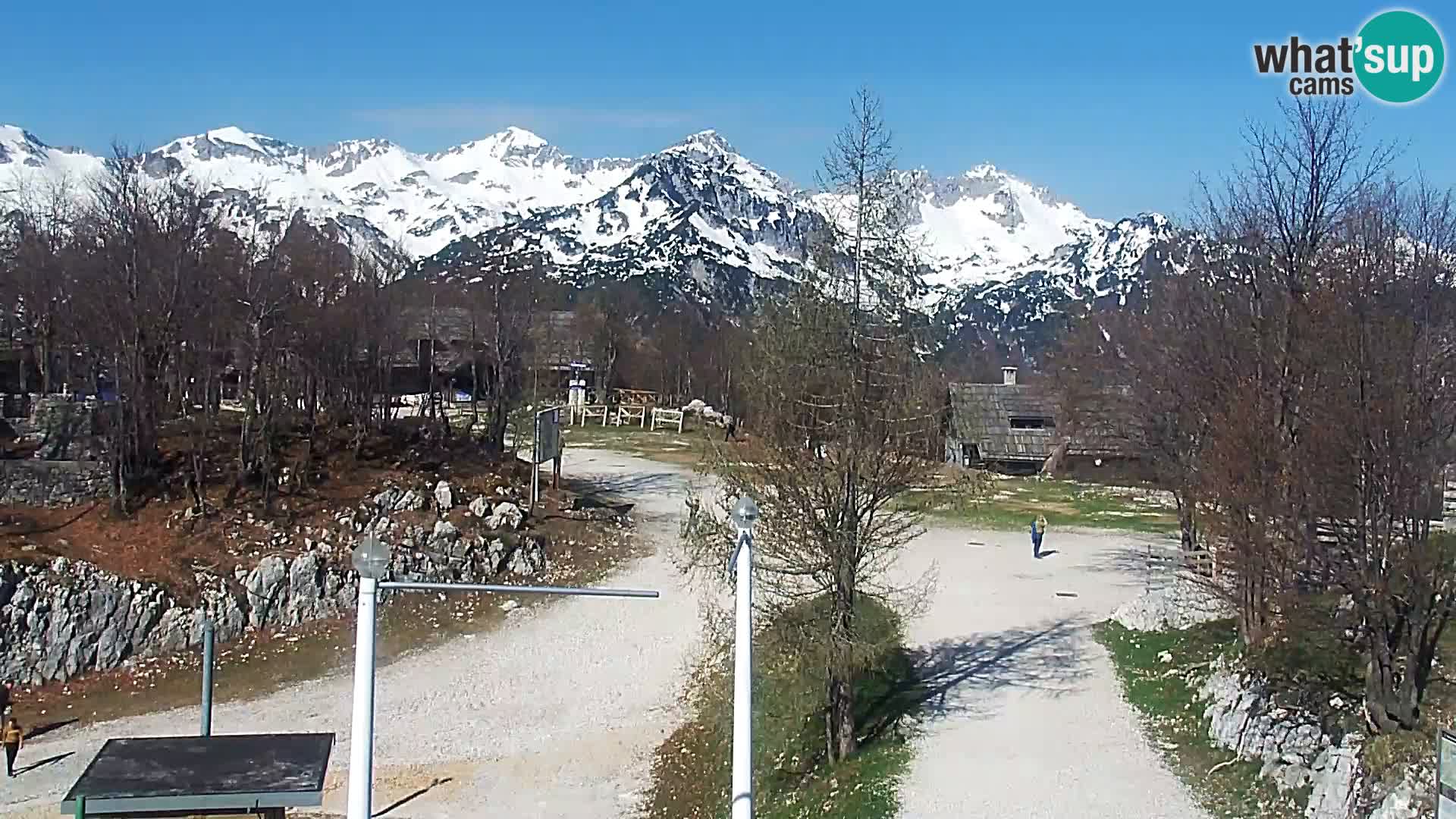 Webcam Skigebiet Vogel