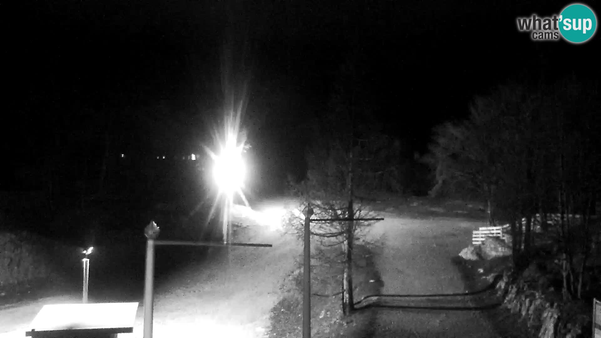 Webcam Skigebiet Vogel