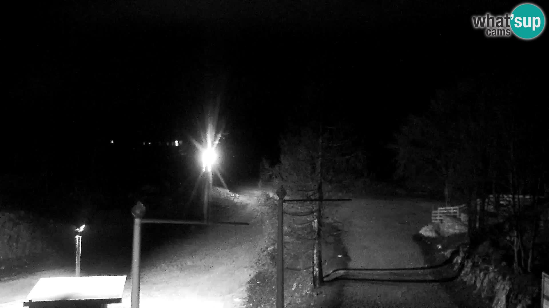 Live cam Station ski Vogel