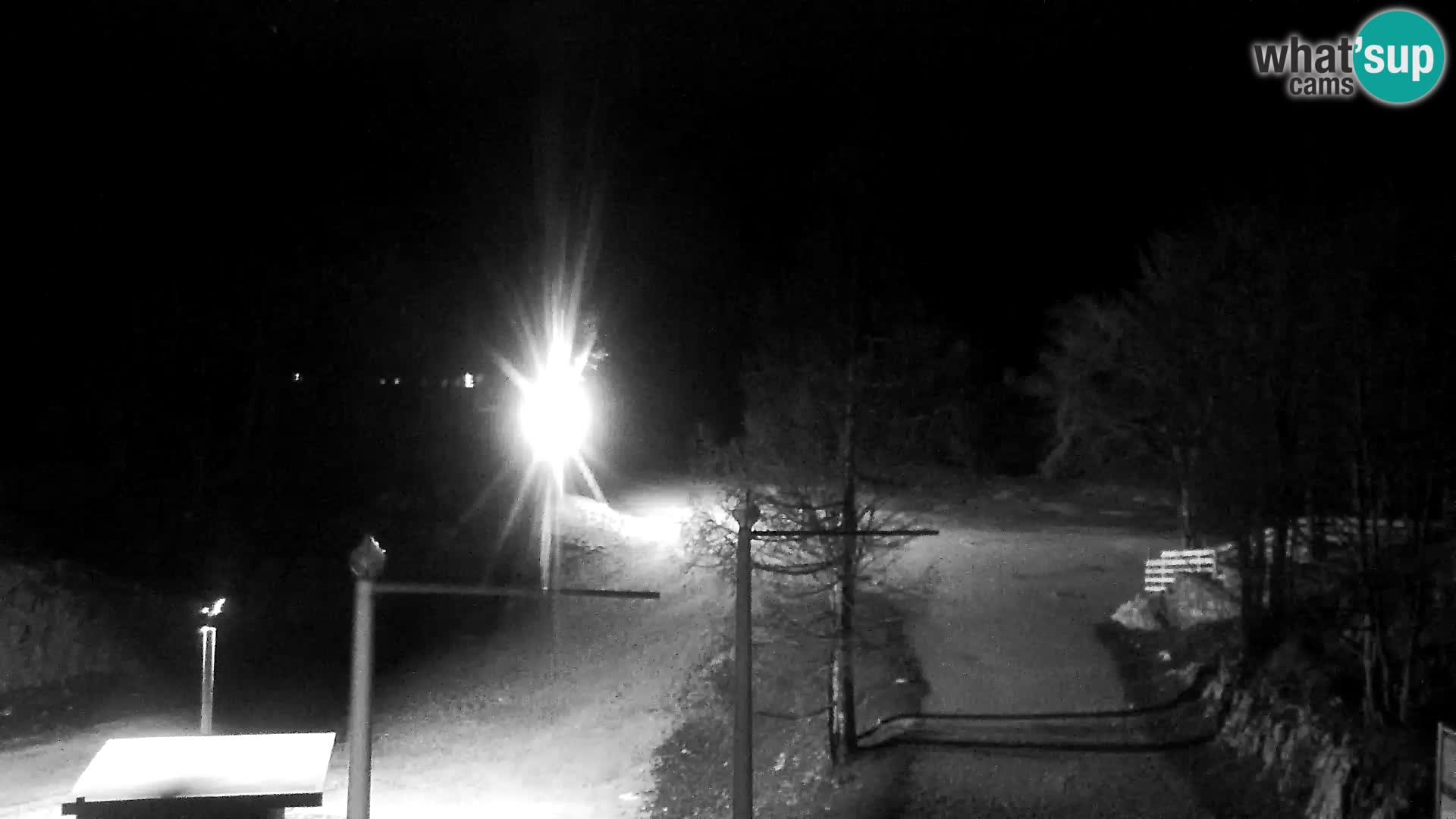 Webcam Skigebiet Vogel