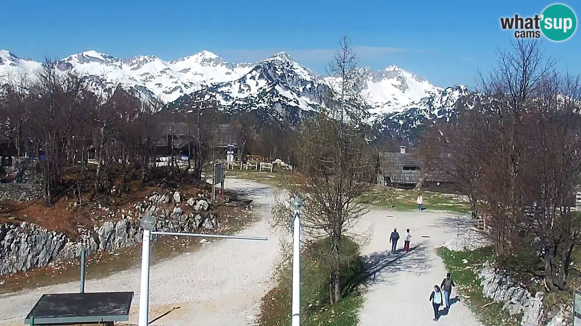 Camera en vivo Estacion esqui Vogel