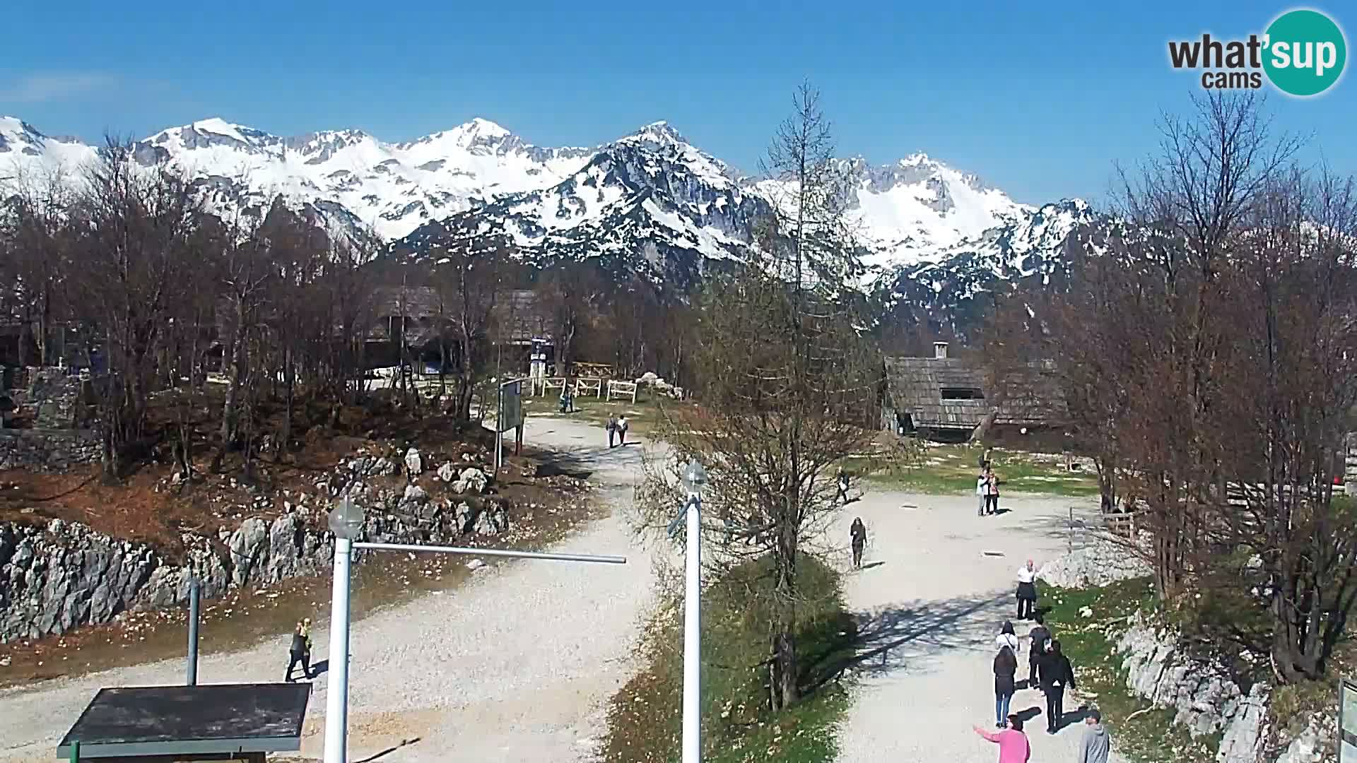 Webcam Skigebiet Vogel