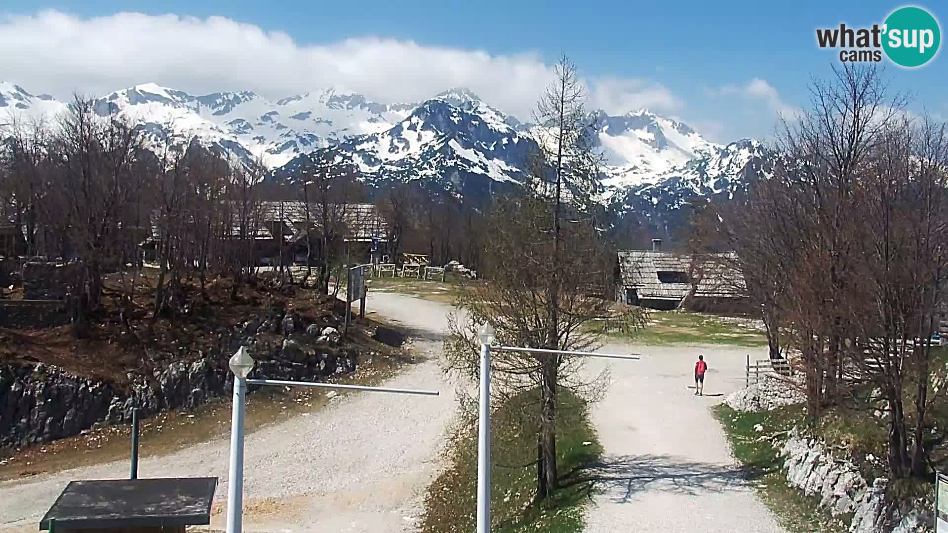 Webcam Skigebiet Vogel