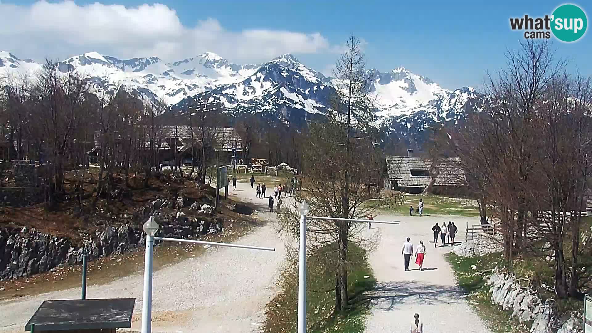Webcam Ski resort Vogel