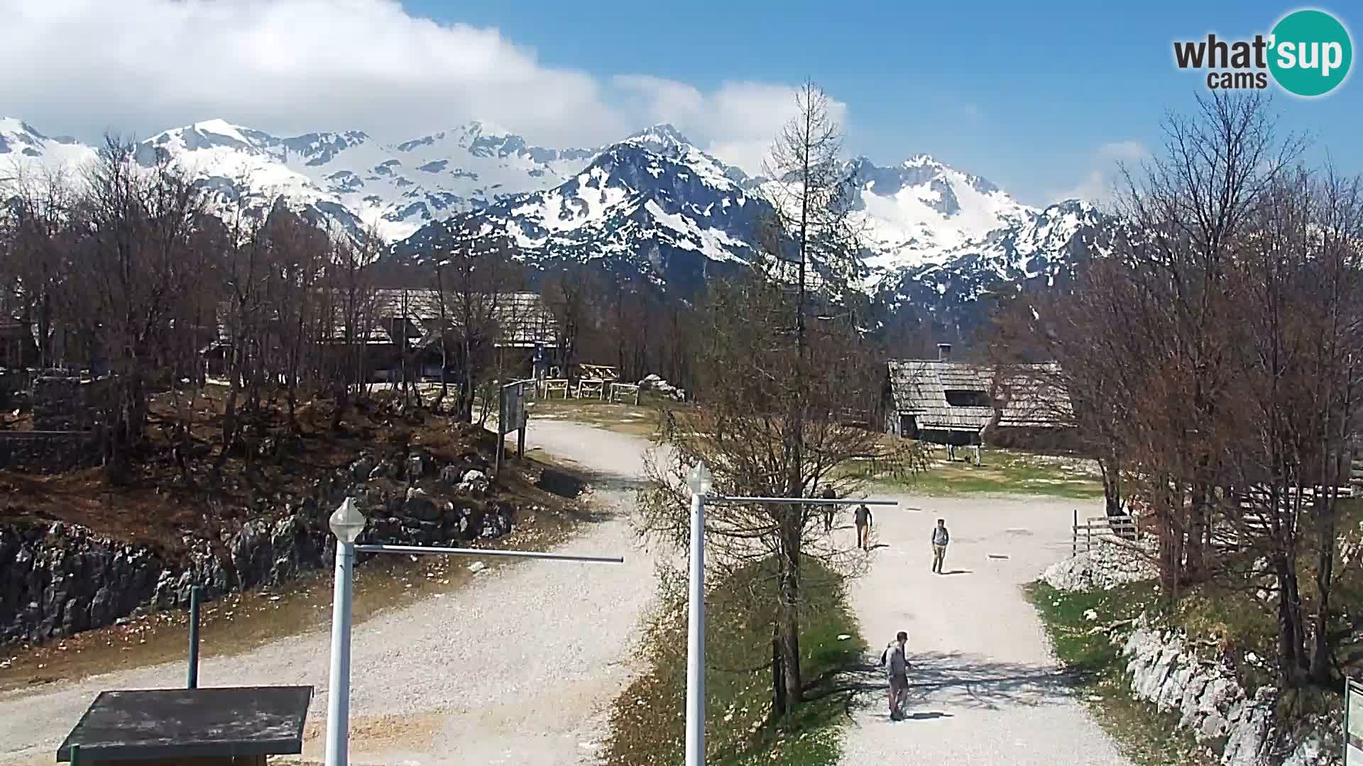 Webcam Skigebiet Vogel