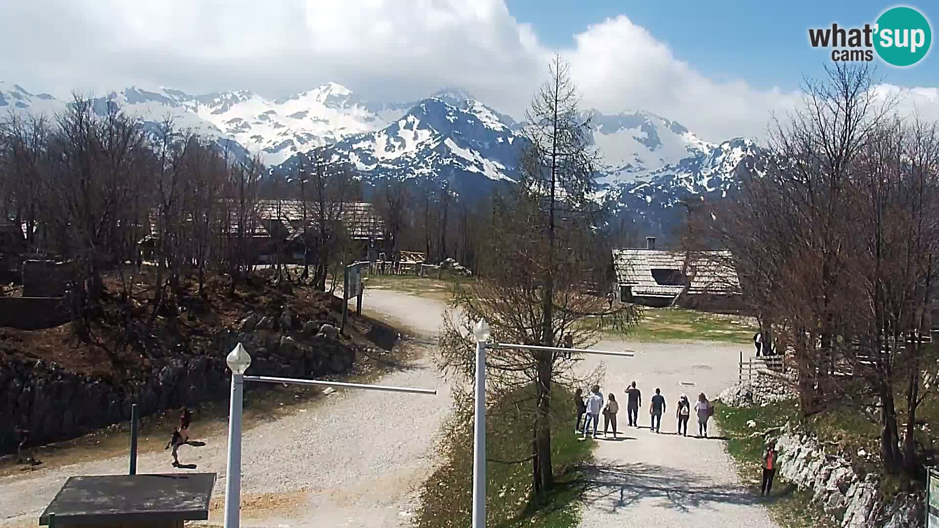 Live cam Station ski Vogel