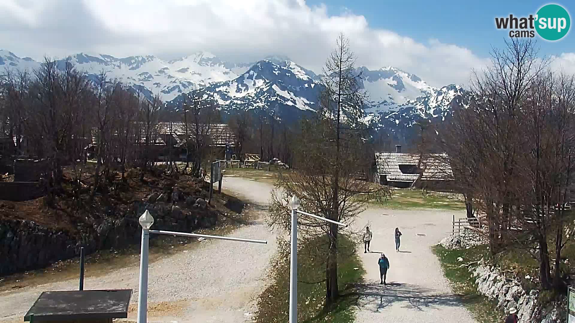 Webcam Ski resort Vogel