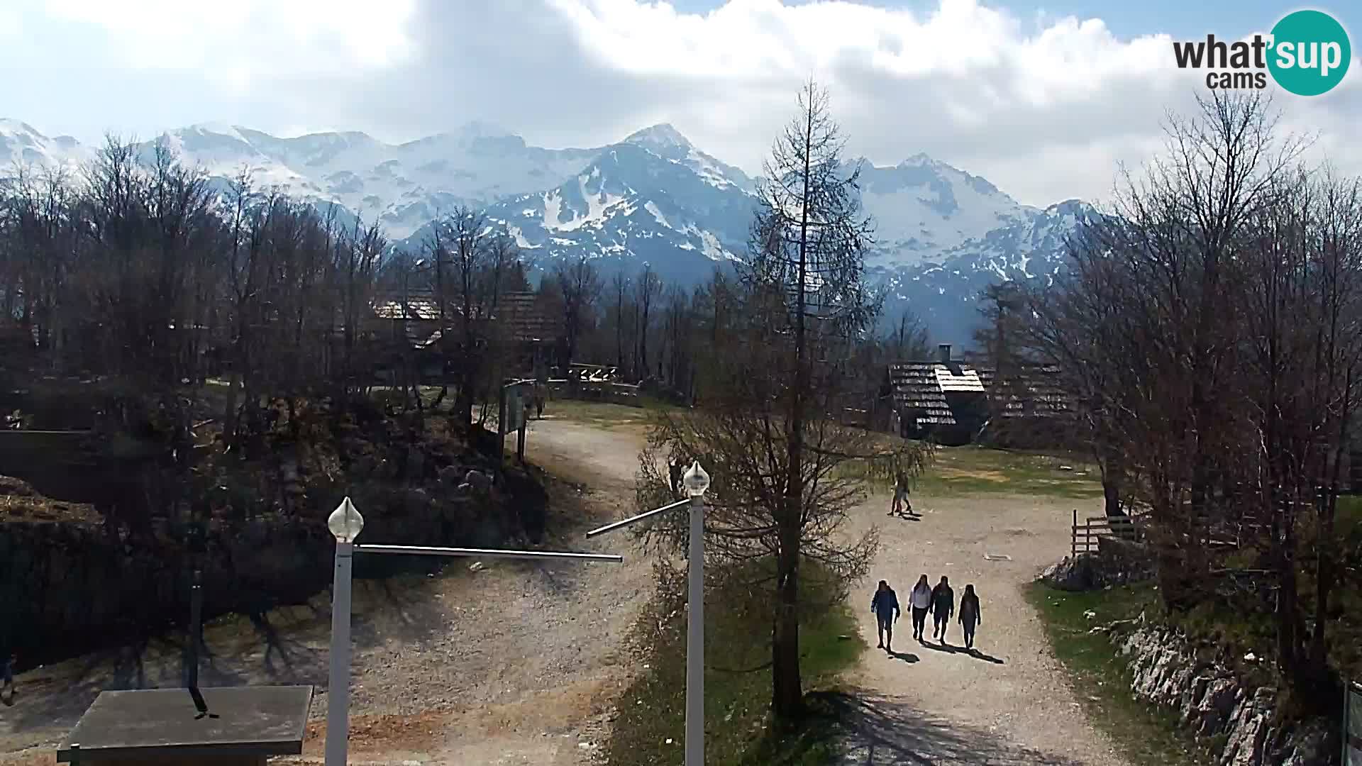 Live cam Station ski Vogel