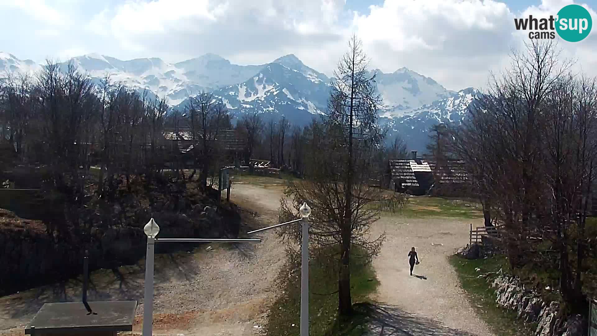 Webcam Ski resort Vogel