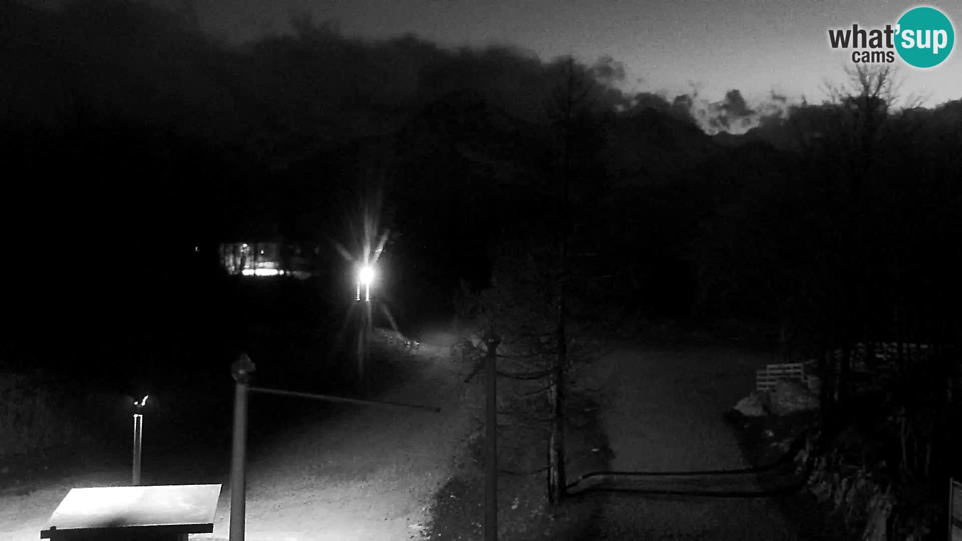Webcam Ski resort Vogel