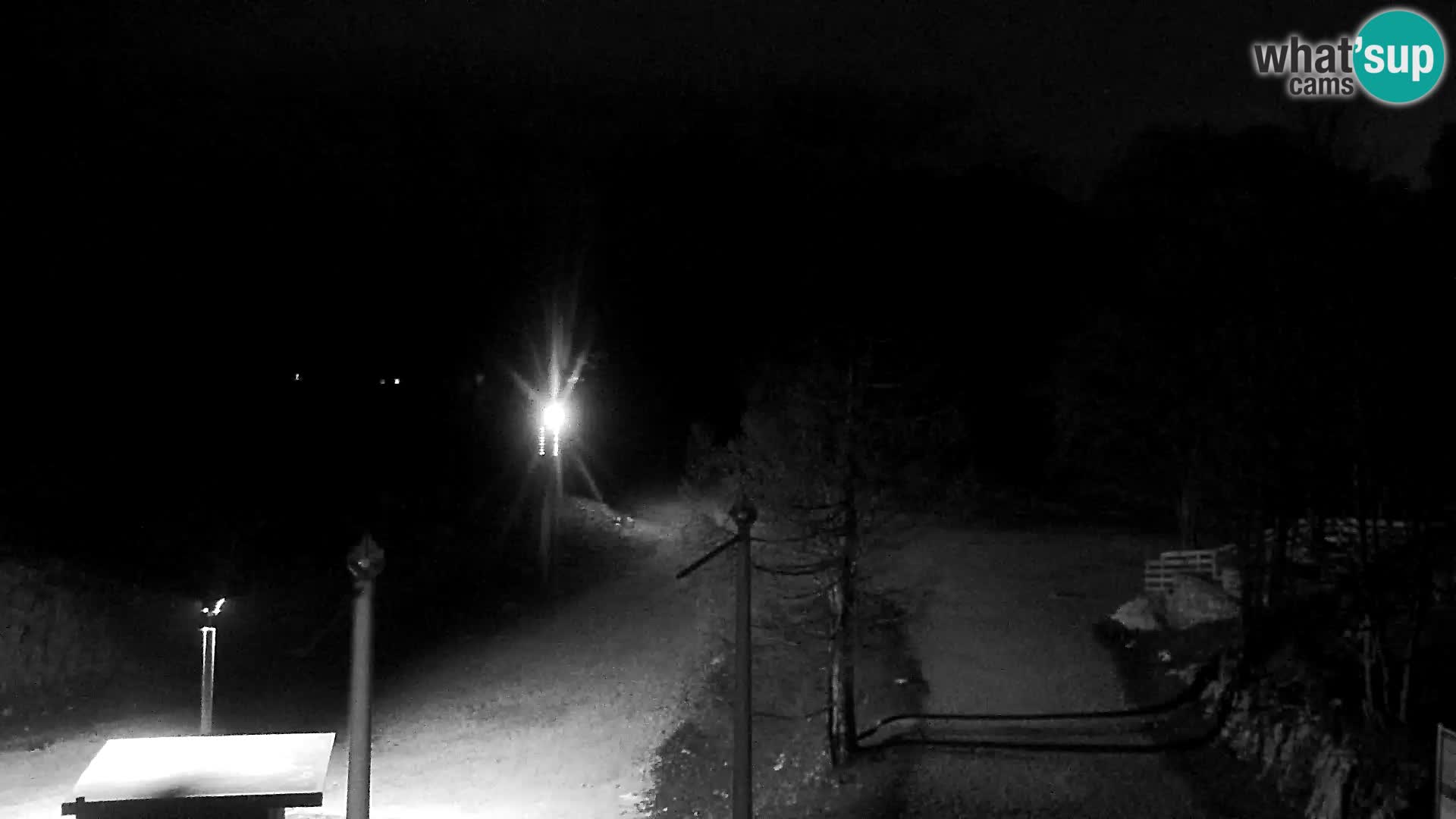Webcam Skigebiet Vogel