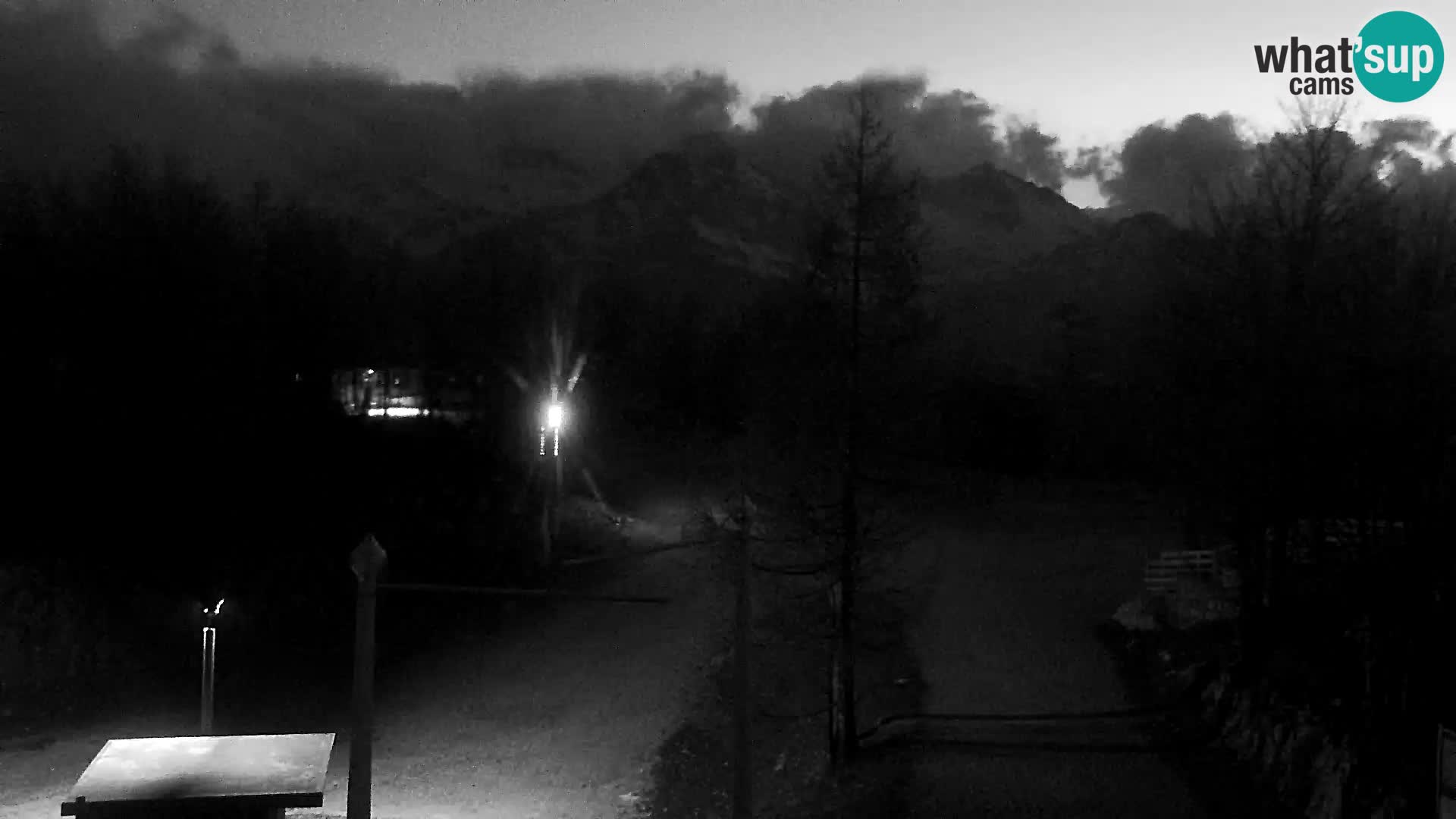 Live cam Station ski Vogel