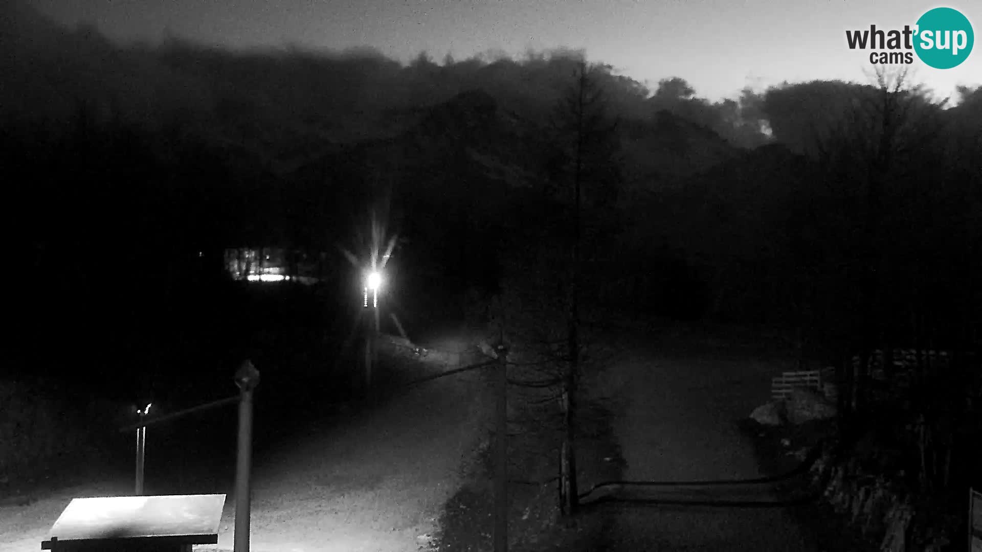Live cam Station ski Vogel