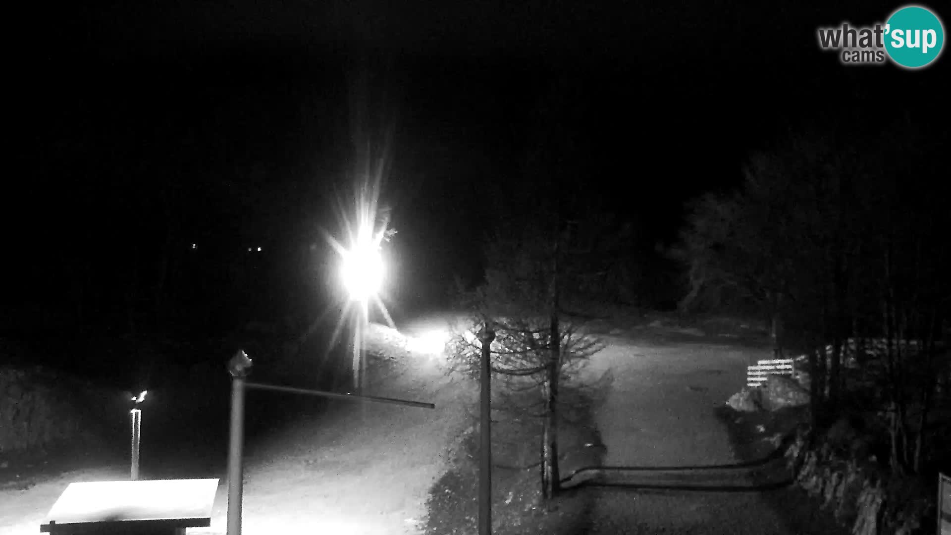 Live cam Station ski Vogel