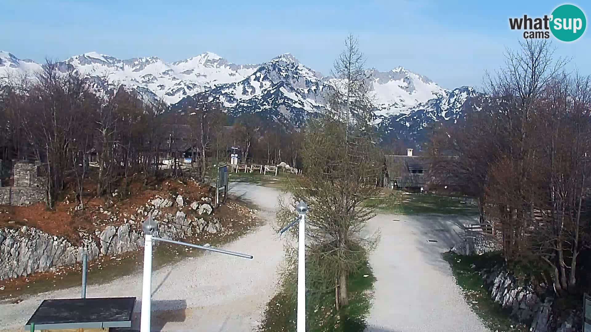 Live cam Station ski Vogel