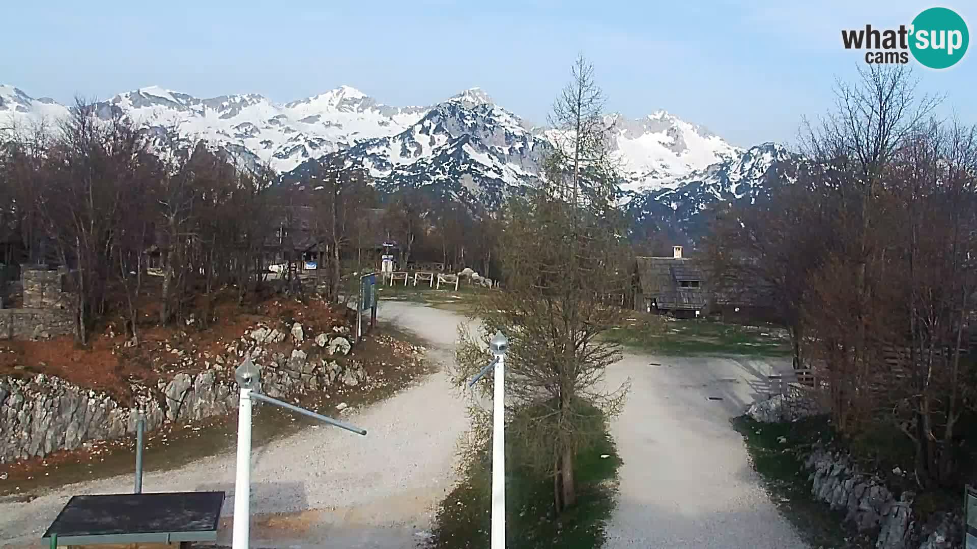 Webcam Skigebiet Vogel