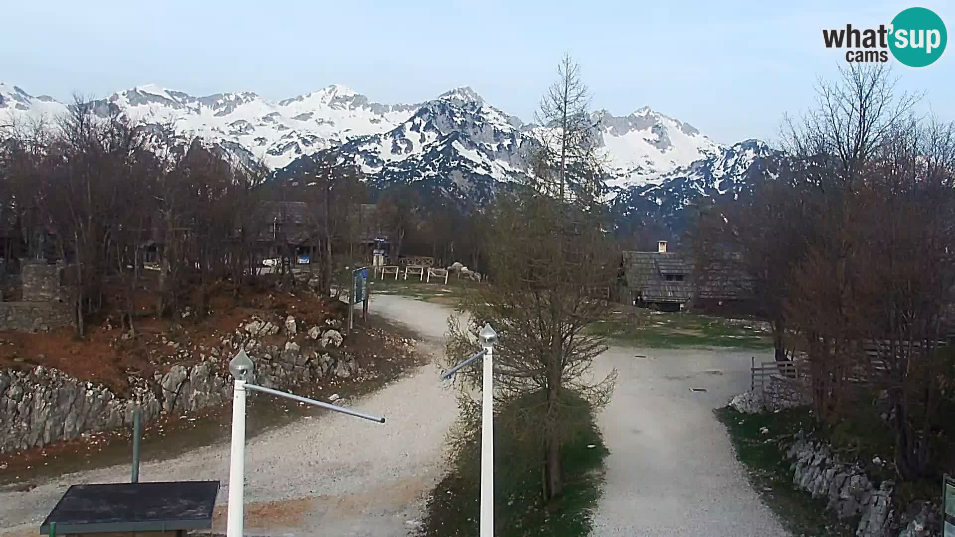Webcam Skigebiet Vogel