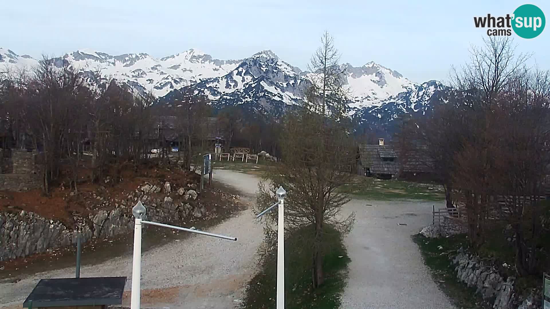 Webcam Stazione sciistica Vogel