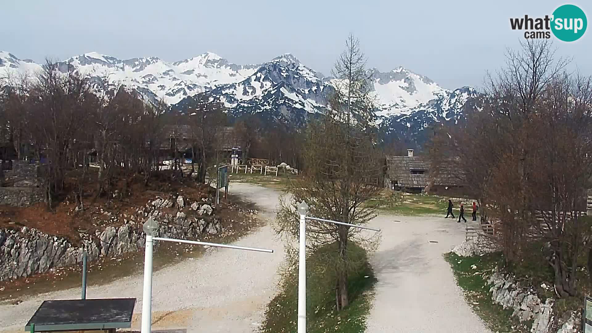 Webcam Stazione sciistica Vogel