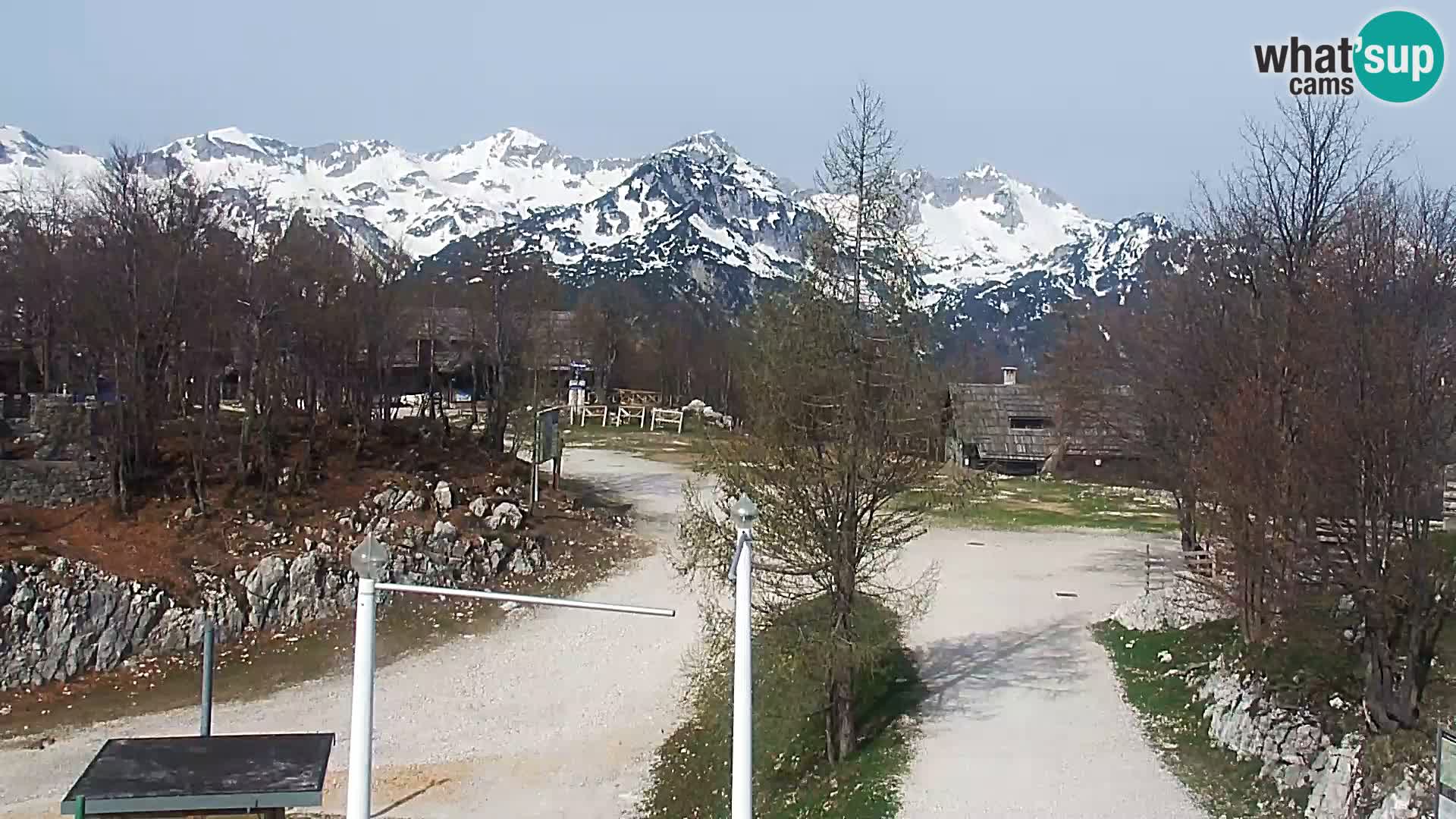 Webcam Skigebiet Vogel