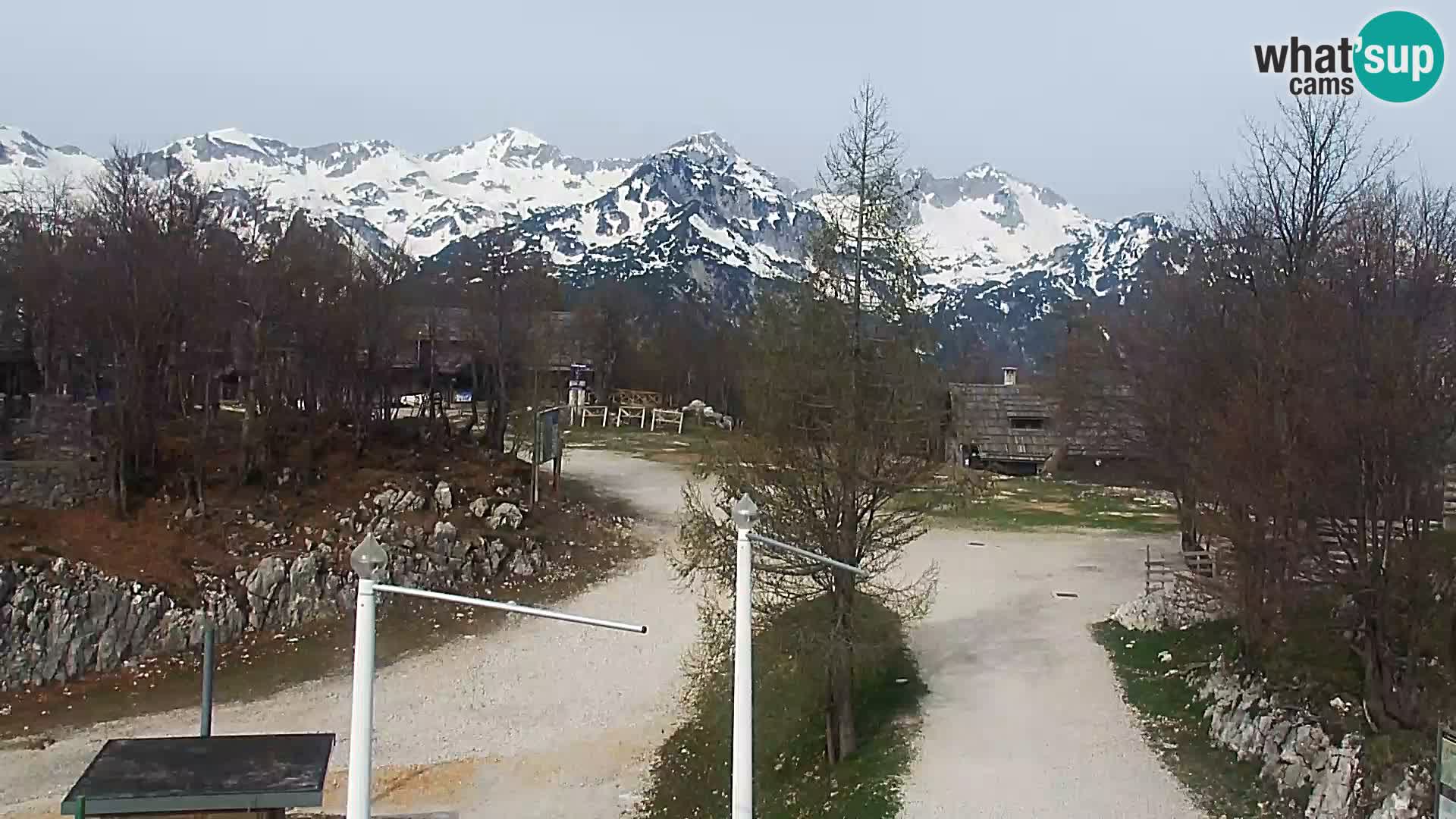 Webcam Stazione sciistica Vogel