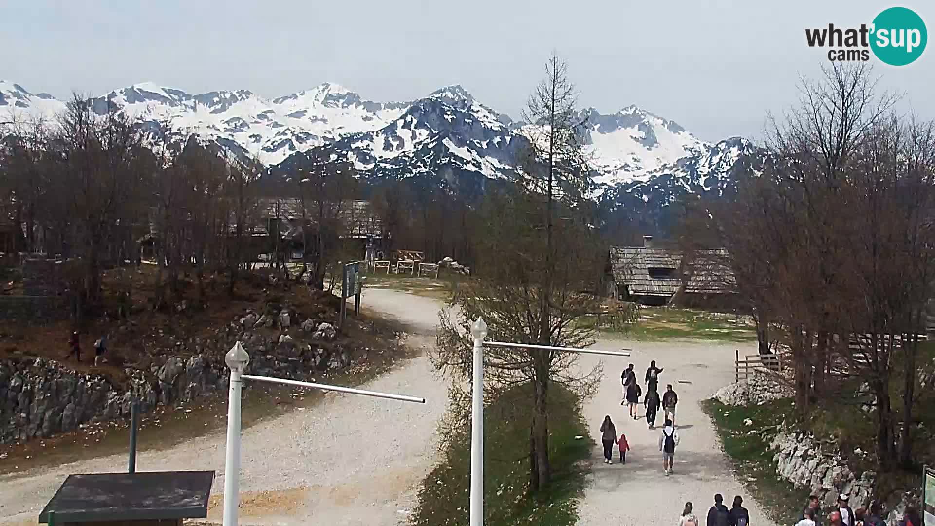 Webcam Skigebiet Vogel