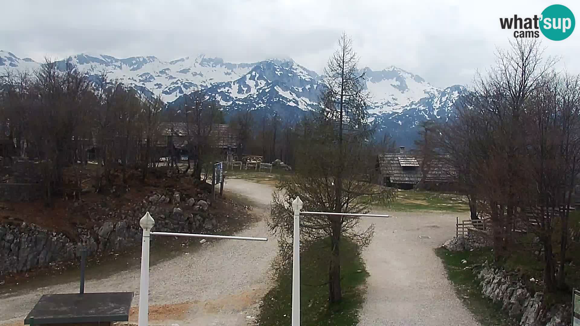 Webcam Ski resort Vogel